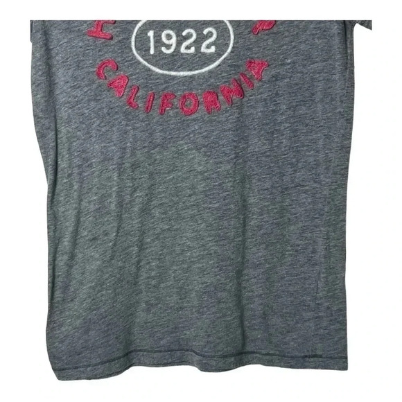 1556. HOLLISTER Y2K SHORT SLEEVE TOP GRAY IN COLOR‎ WITH PINK/WHITE LETTERING LG - Picture 4 of 9